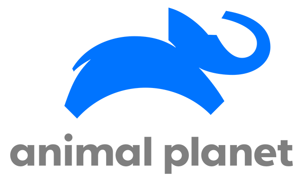 Blue elephant figure and animal planet text